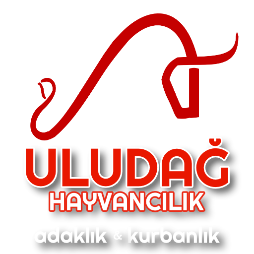 Uludağ Hayvancılık